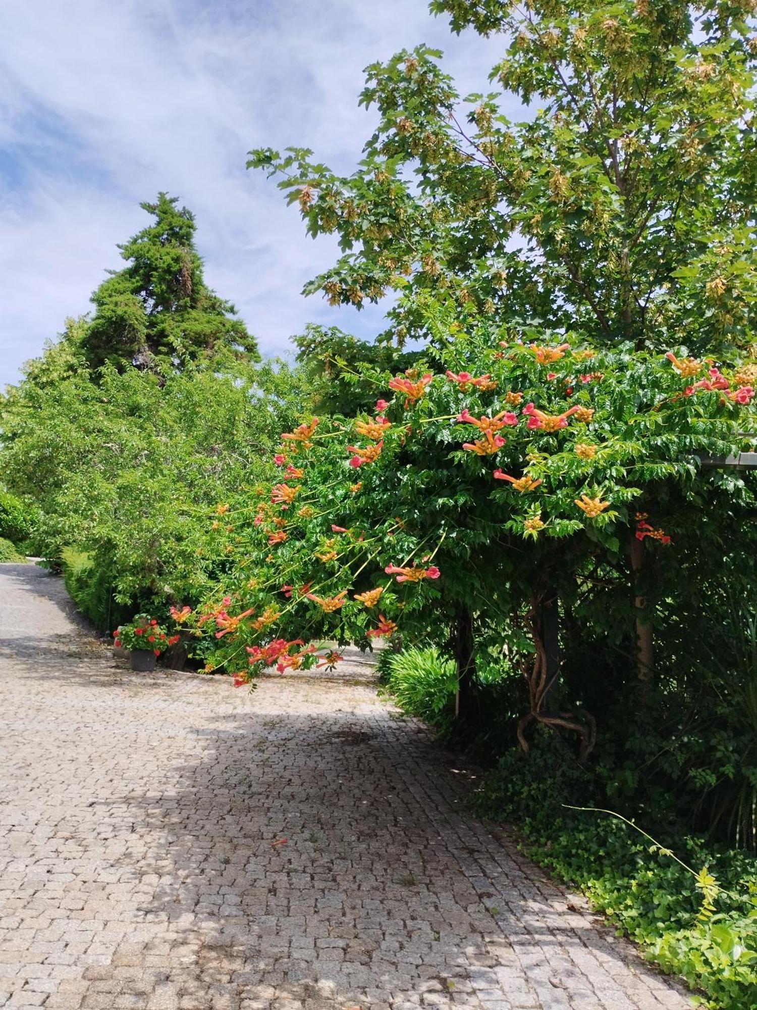 Quinta Da Telheira Hotel วีลาเรอัล ภายนอก รูปภาพ