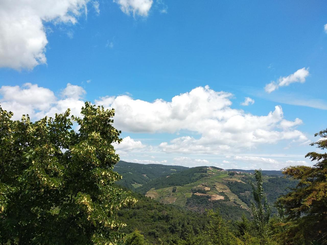 Quinta Da Telheira Hotel วีลาเรอัล ภายนอก รูปภาพ