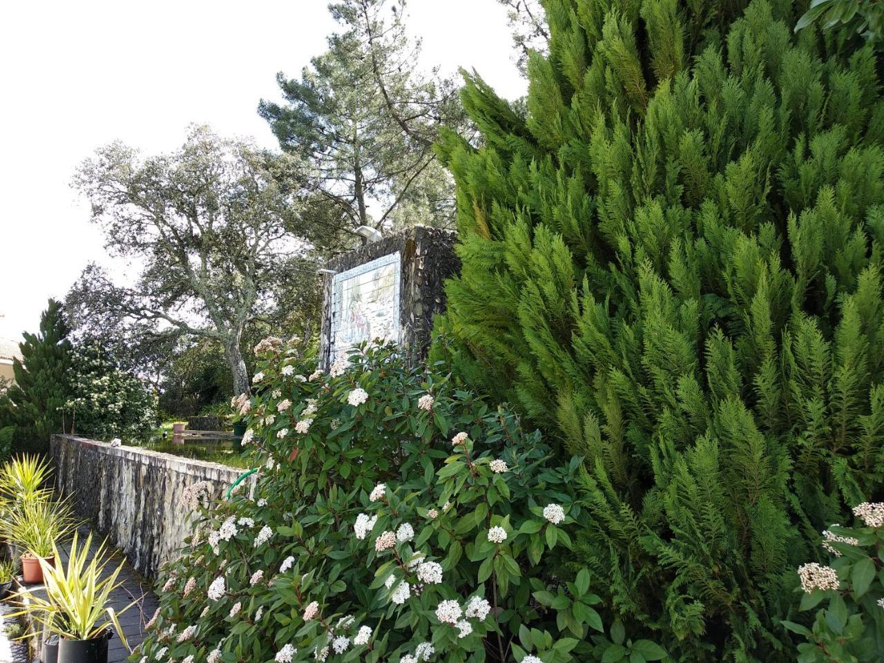 Quinta Da Telheira Hotel วีลาเรอัล ภายนอก รูปภาพ