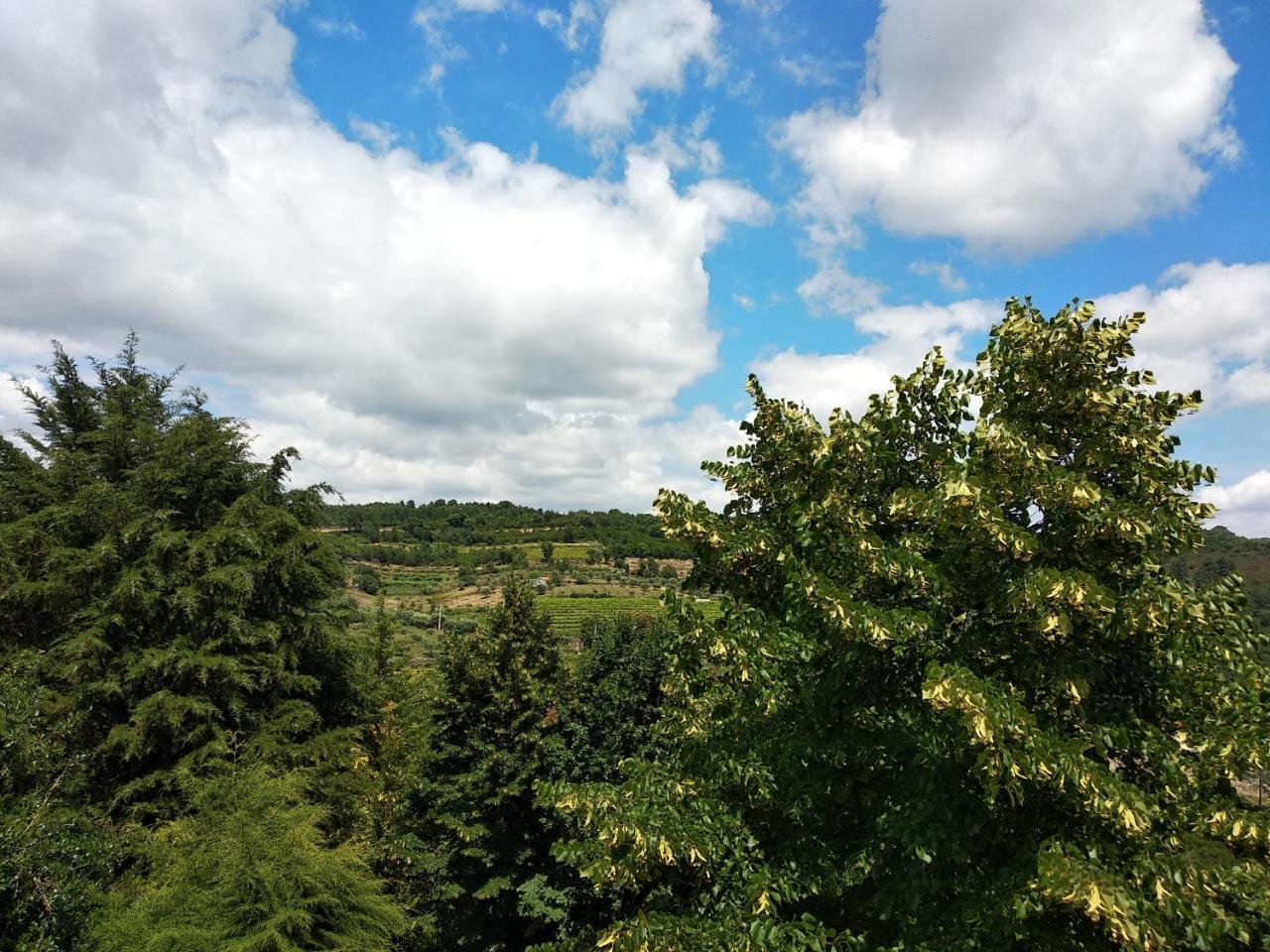 Quinta Da Telheira Hotel วีลาเรอัล ภายนอก รูปภาพ